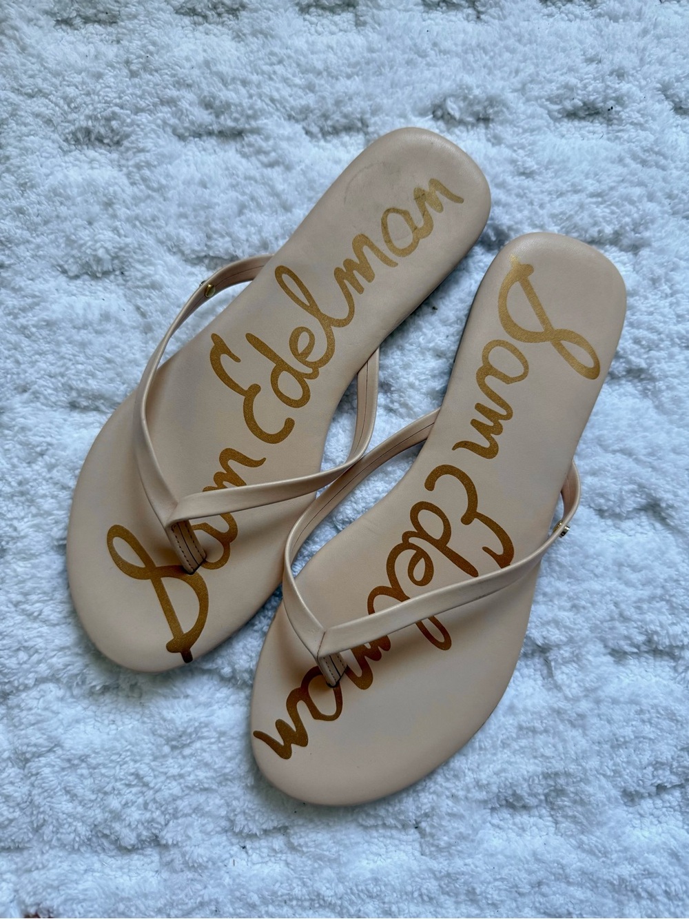 Sam Edelman Sleek Pinkish Nude Flip Flops - Picture 2 of 5